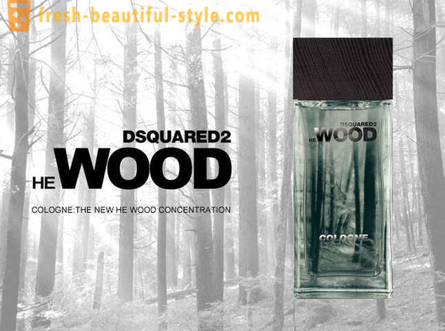 Dsquared Lemn - descrierea linie de parfumuri și de brand