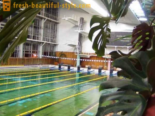 Pool „Vodnik“ în Arhanghelsk: cum să înceapă să înoate?