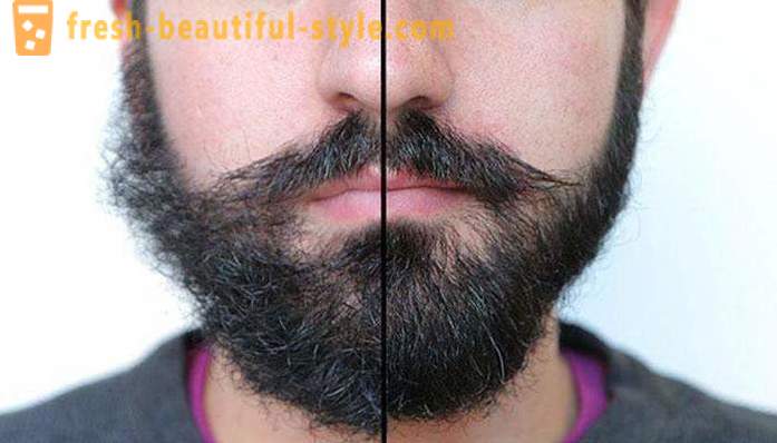 Brusture barba ulei: comentarii, aplicații și caracteristici