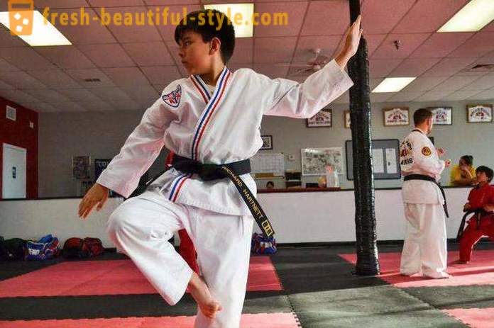 Ce este Taekwondo? Descrierea și regulile de artă marțială