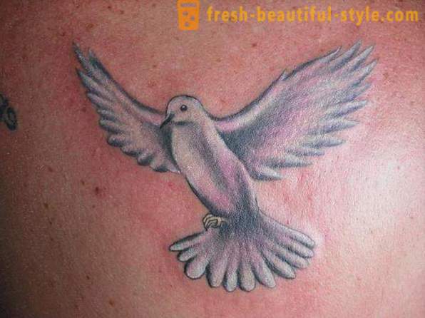 Tattoo „porumbel“: Implicații pentru băieți și fete, istorie și recomandări