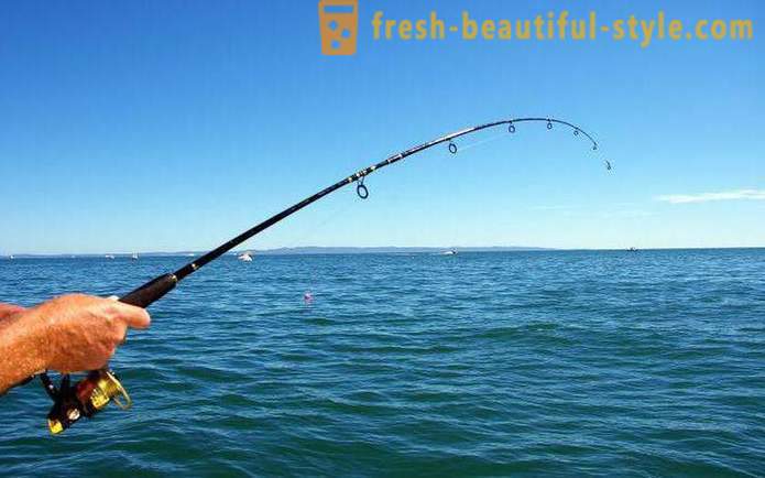 Pescuitul în Syzran: cele mai bune locuri și musca prognoza
