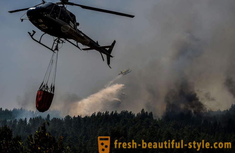 Cum se stinge incendiile din Portugalia