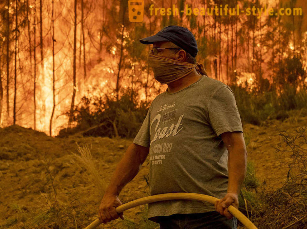 Cum se stinge incendiile din Portugalia