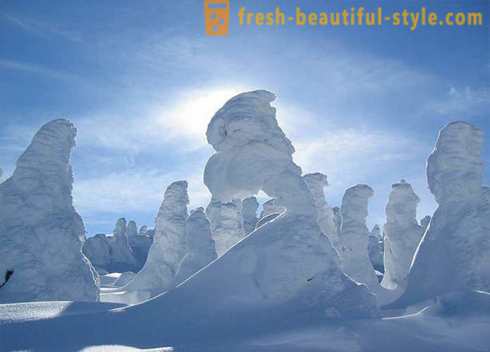 Coridor de zăpadă uimitoare în Japonia