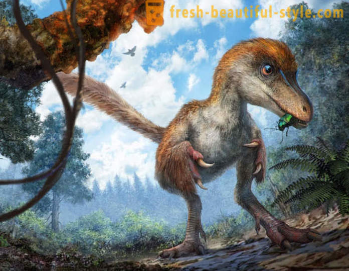 Descoperirile unice asociate cu dinozauri