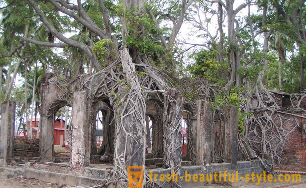 Ruinele incantatorul insulelor abandonate