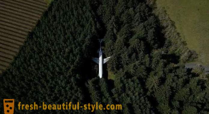 Americani, 15 ani de viață într-un avion în mijlocul pădurii