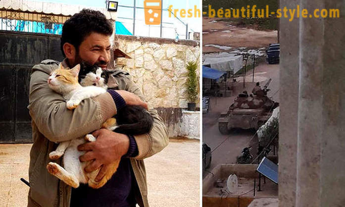 Omul a rămas în Alep sfâșiat de război pentru a avea grijă de animale abandonate