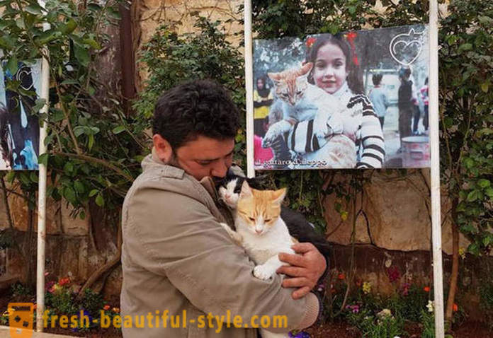 Omul a rămas în Alep sfâșiat de război pentru a avea grijă de animale abandonate