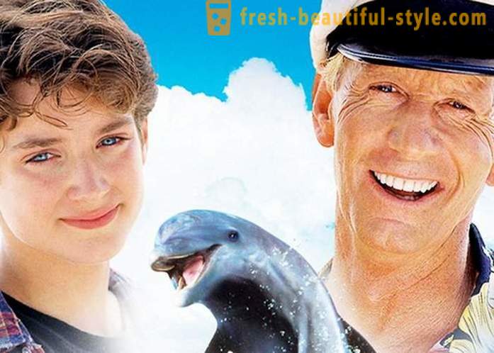 O selecție de filme despre delfini
