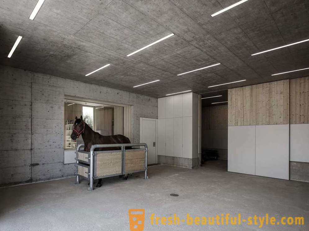 Proiectarea clinica veterinara pentru cai din Austria