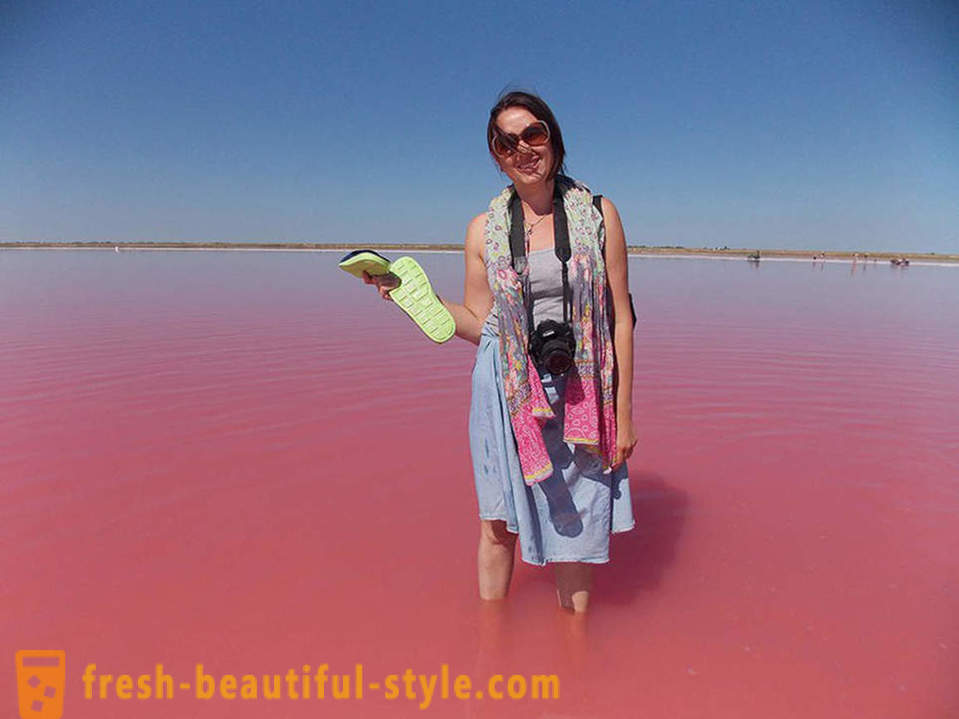 În Rusia, există un lac, care în fiecare august se transformă într-un „jeleu roz“