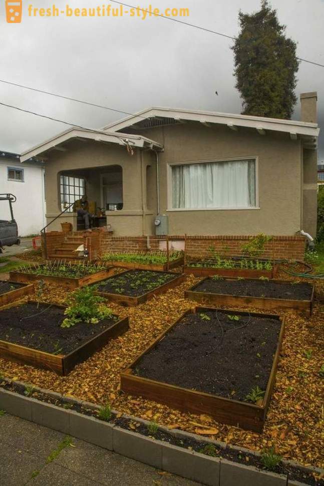 În doar 60 zile acest tip a ridicat o grădină răcoroasă în fața casei