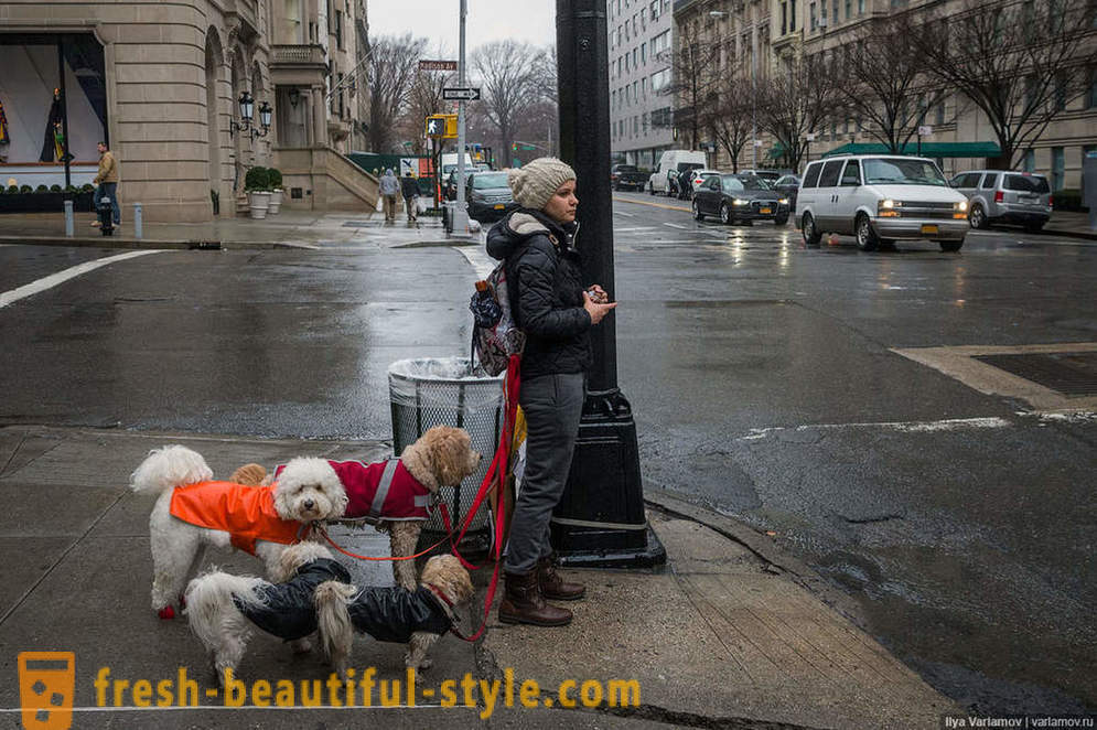New York: Moda ciudat, drumurile proaste și hotelul viitorului