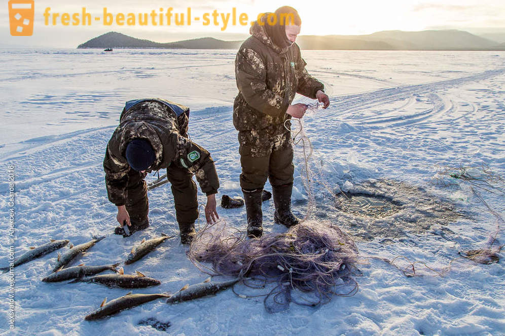Cum rybinspektory pe Baikal