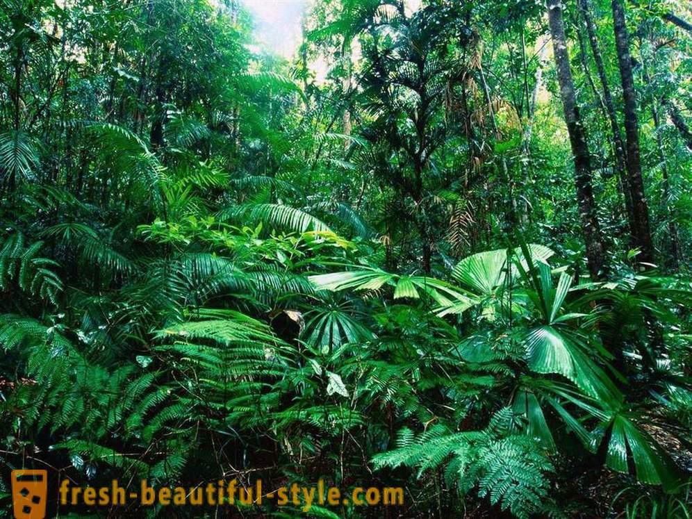 Amazon - minune naturala a lumii