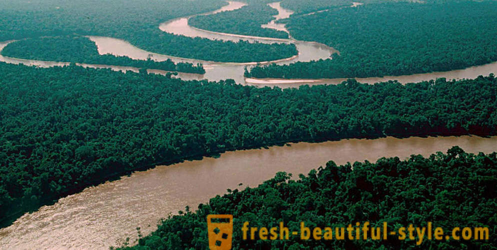 Amazon - minune naturala a lumii