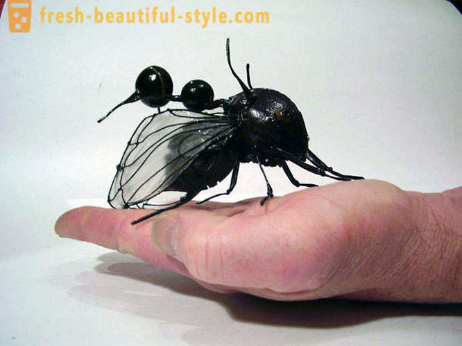 10 gândacilor planetei cele mai teribile