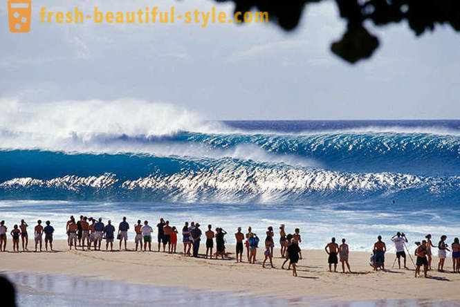 5 locuri pentru surf cele mai cunoscute, în cazul în care legendarul valuri gigantice vin