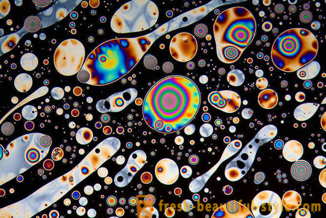 Microscop în mâinile fotografului