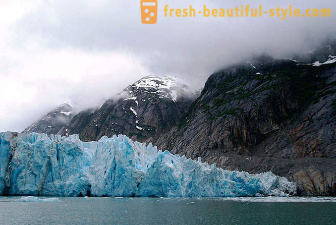 Parcul National Glacier Bay din Alaska