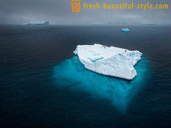 Cele mai bune imagini din 2012 National Geographic