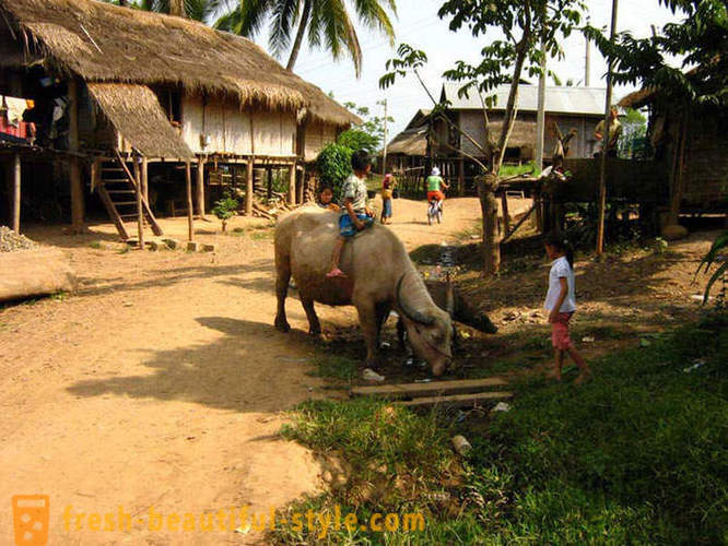 GeoFresher - Cum de a trăi în Laos