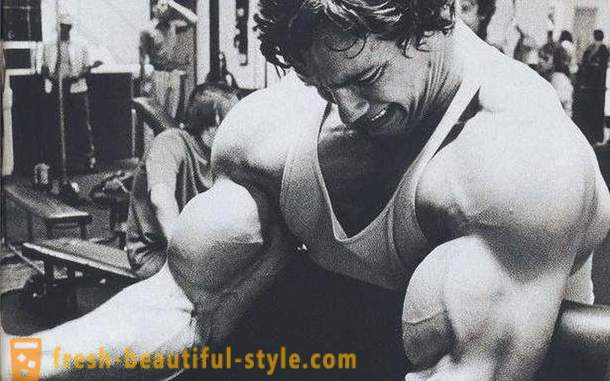 Biceps antrenament. Programul de instruire pentru biceps