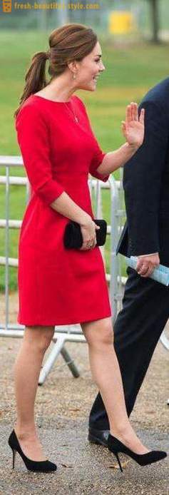 Red rochie caz: cea mai bună combinație, în special selectarea și recomandarea