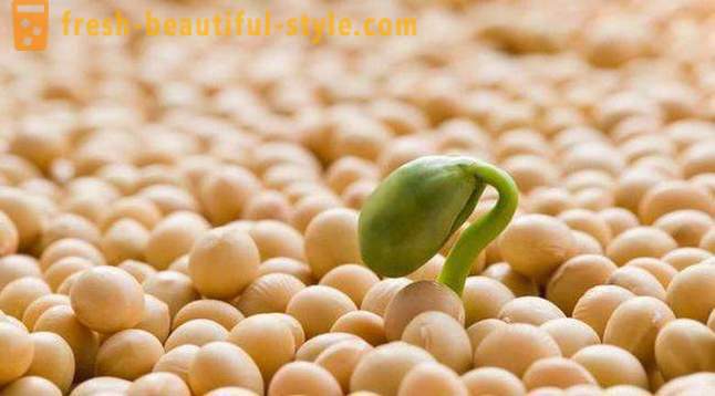 Utilizarea de proteine ​​izolate din soia dieta: comentarii