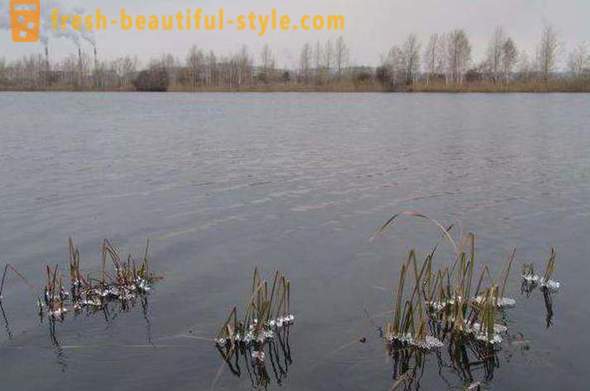 Pescuitul în Magnitogorsk. În cazul în care musca, prognoza musca
