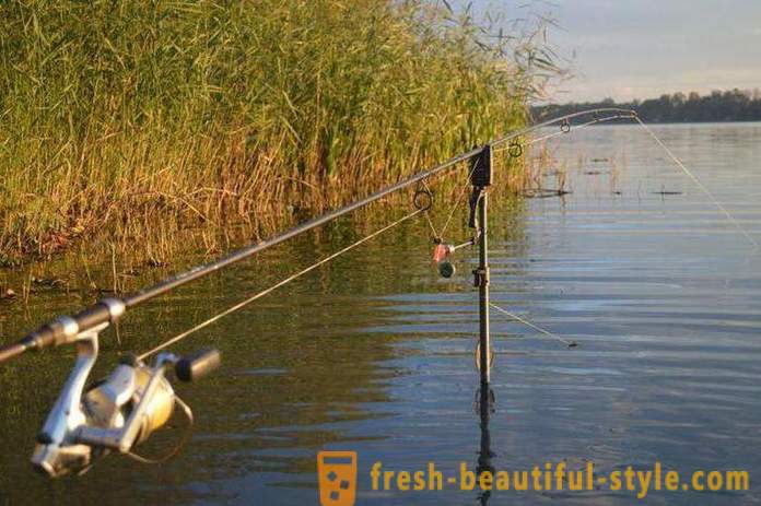 Pescuitul în regiunea Riazan pe râul Oka și alte organisme de apă