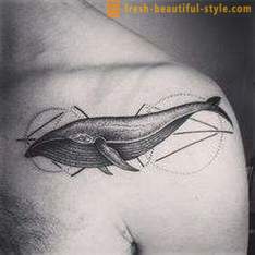Tatuaj „balena“: istoria, sensul și fotografii