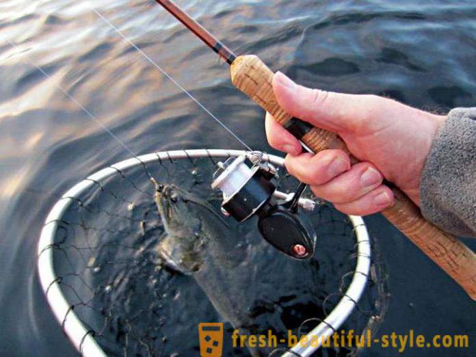 Filare ultraușoare. spinner de pescuit: descriere, caietul de sarcini, comentarii
