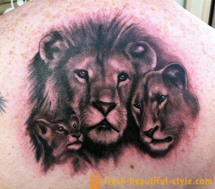 Înțeles tatuirovki- „Leul“ pe umăr și în alte părți ale corpului