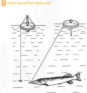 Prinderea cerc stiuca: Caracteristicile metodei. Pike de pescuit pe cercurile de pe râu, pe lac