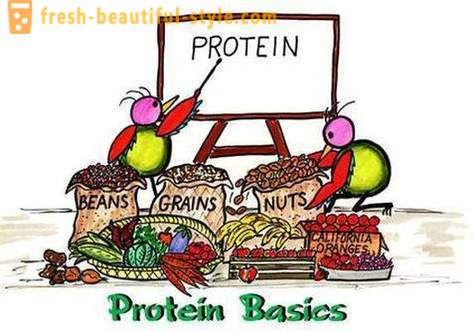 Ce sunt proteine? Cine și cum să ia proteine