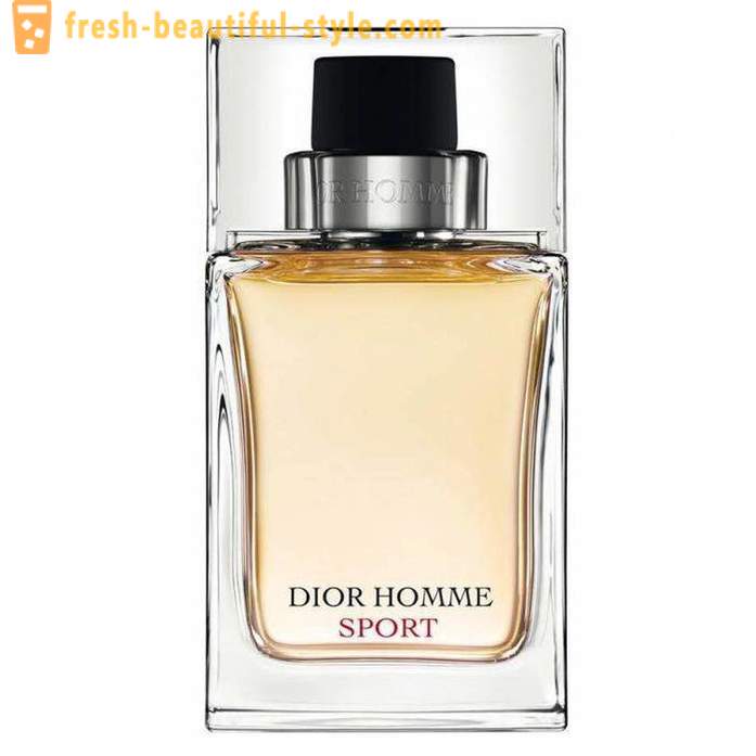 Bărbați Dior Homme Sport: descriere, comentarii