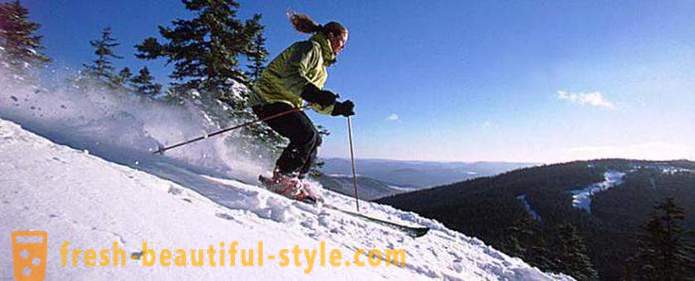 Schi. Echipamente și reguli de schi schi alpin