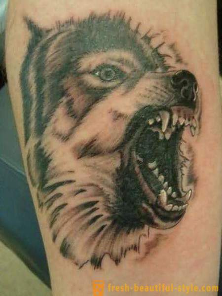 Înțeles tatuaj „Wolf“: descriere, nuanțează exemple