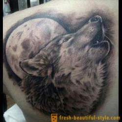 Înțeles tatuaj „Wolf“: descriere, nuanțează exemple