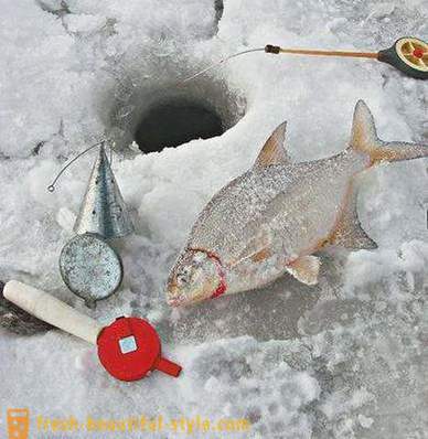 Plătică de iarnă. Tackle pentru pescuit de iarna de plătică