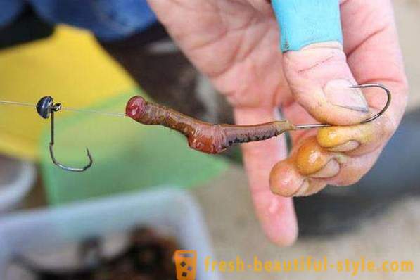 Cum să se răspândească viermele pe cârlig în mod corespunzător