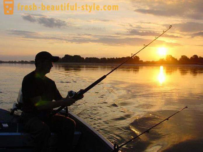 Îmi place să pescuiască? Pescuitul pe lac, râu și mare. Cum să pescuiască cu filare?