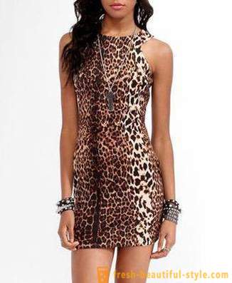 Leopard rochie prădător frumos